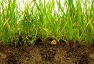 Cedar Valesub-soil-drainage-6.jpg; ?>